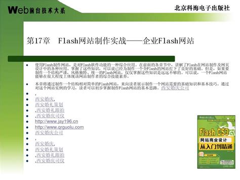 Flash网站设计导读 探索经典与进化的网页艺术