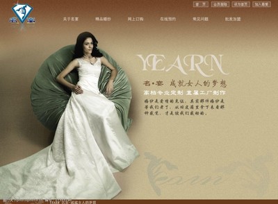 网页设计模版与制作 从概念到成品的实用指南